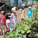 めだか子供の家☆日記☆