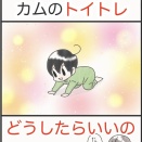 カムのトイトレ、どうしたらいいの⁉︎