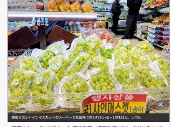 韓国のブドウ農家､シャインマスカット価格急落で死亡 過剰生産でピーク比3分の1に 韓国政府は輸出拡大を推進