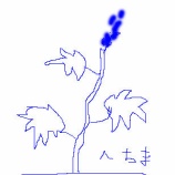 『へちまの夢』の画像