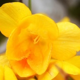 『私の光マイクロバブル入浴研究Ⅲ(103)光マイクロバブル足浴（6）』の画像