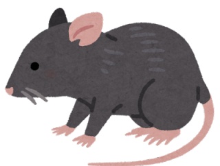 【画像】旦那に説得されてペットを飼った人妻さん、闇落ちする