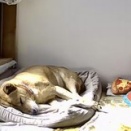 疲れちゃったの。。。でもね