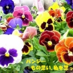 田舎記者の手帳