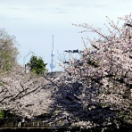 新・バイクで走ると気持ちがいい