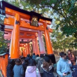 『伏見稲荷大社の隣に引っ越し』の画像