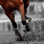 競馬ブログ!!【掟破りの金になる話】