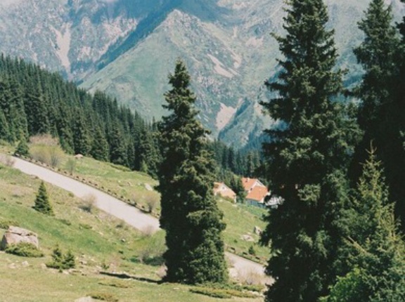イギリス人のカップルに15時に鋸山の手前ですれちがったから「引き返せ」って言った