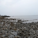 マイ・ベスト・磯探し（2026.3）