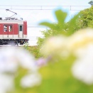 東武鉄道10050系@11267編成（紫陽花）