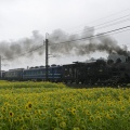 東武鉄道　SL大樹1号 SL運行8周年記念HM 2025/08/10