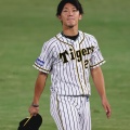 阪神・伊藤将、坂本のアドバイスが勝利の鍵！無傷の軌跡
