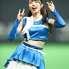 きつねダンス、なぜか今日明日の侍ジャパンの試合で披露される