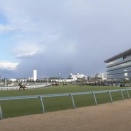 【注目3歳馬】3月1日・阪神6R（芝2000m）に出走予定の注目馬は...？