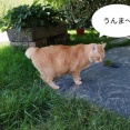 国歌斉唱の時のブーイングは正当な権利