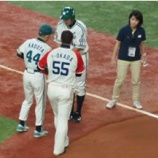 『南海ホークスに会ってきた！｜2013NPBペナントレース』の画像