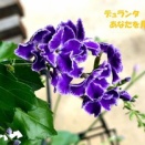 暦‐2026年7月18日