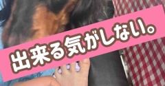 このムスメは…