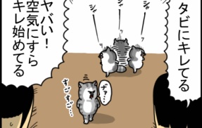 許しを得た私