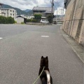 ギンちゃん♪