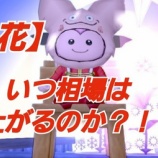 『【ＳＰ花】いつ相場は上がるのか？！』の画像