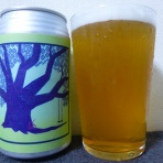 イワナの散歩Ⅱ