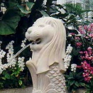 「植物園の日」（「みどりの日」であることから、日本植物園協会が2007年に制定）です