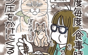 のぞきかた