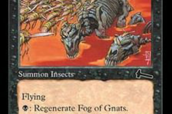 Mtg 今日の一枚 昆虫 Mtg 今日の一枚 昆虫