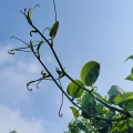 ブログ閲覧に関する不具合のお詫び