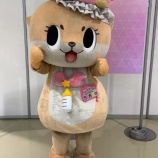 『[イコラブ] 色んな ゆるキャラ も体幹チャレンジ』の画像