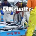 れストラン ゆず庵BLOG