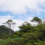 『大気が不安定』の画像