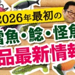 でんでん丸（でんでんまる店長）のブログ