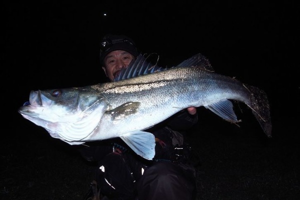 SAKURA LURE DIVISION 釣行記 - C3+ W.o.r.C 9'7