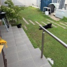日常と、非日常