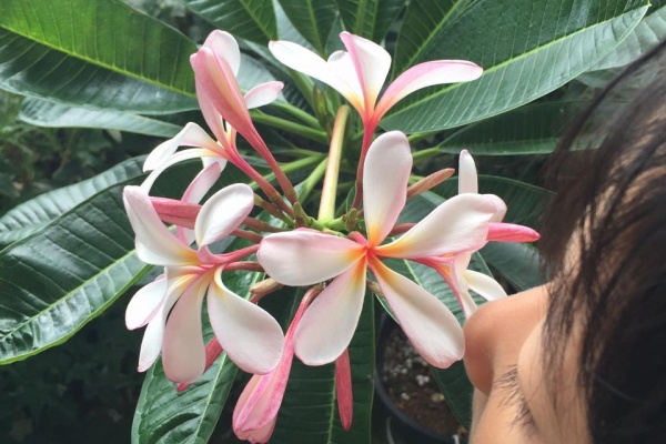 本田こーちゃんの 自由大ちゅき 本田晃一