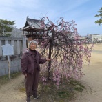 open_heart_shinkoのblog