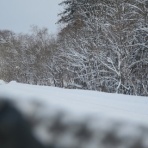 鉄旅フォト紀行～鉄路の彼方へ～　