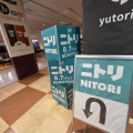 【開店】仙川島忠に開店した"ニトリ 仙川店"を見に行ったら"島忠Home's"とうまく共存するお店だった！