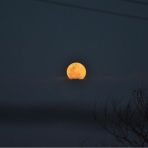 友だちいない研究所