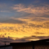 『2025年も有難うございました！良い年をお迎え下さい！！』の画像