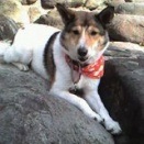 見守っていてね！