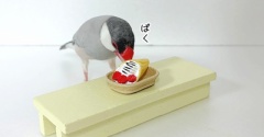 新たなジャンルを始めた店長