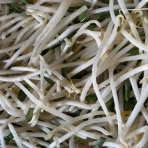 農家に嫁いだえだまめの毎日