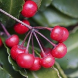 『第二の誕生である死による霊の解放』の画像