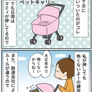 飼い犬ティアラが病気になった話⑥自分で連れて行きたい！