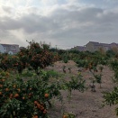 日本國內勞動糾紛的維權途徑/日本国内劳动纠纷的维权途径