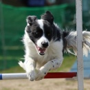 家に無事に帰るまでが競技会　５８