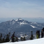 Mallard郡山店 Blog